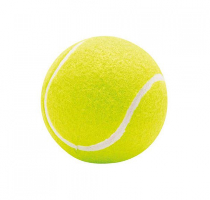 [에어스포츠] 초등부 테니스볼(무료 배송)